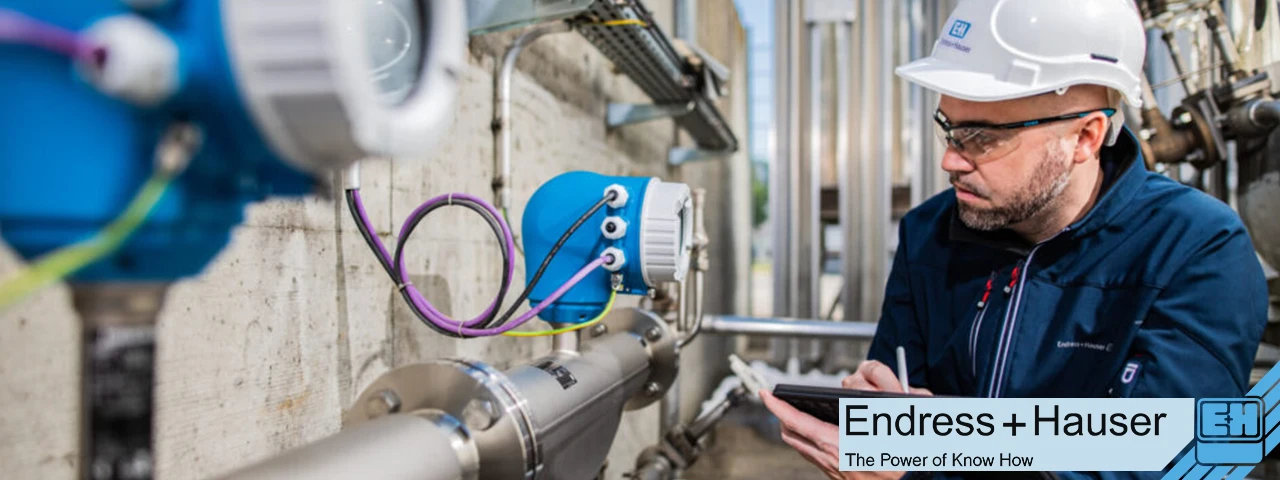 Endress+Hauser 